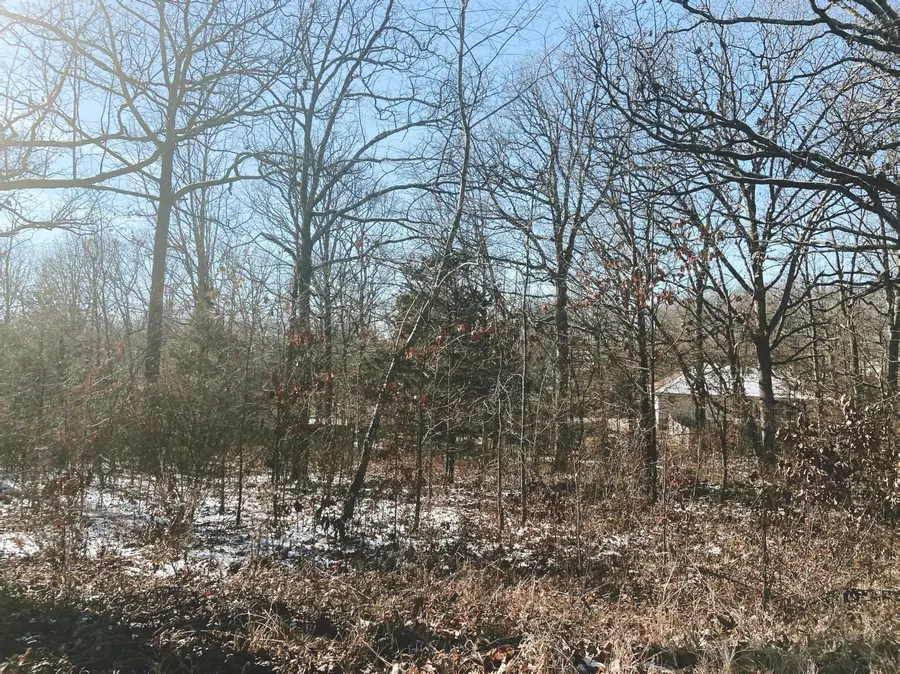 000 Mcfarland Drive Lot 14, West Plains, MO 65775 - Image #2