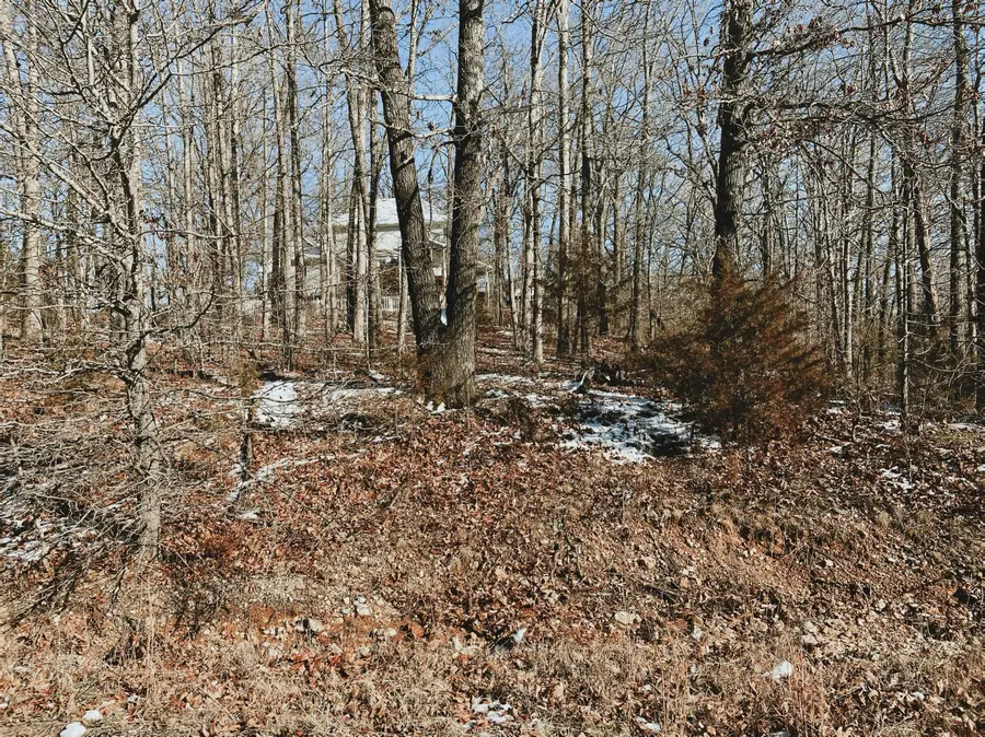 000 Lot 4 Block 13 Morrison Sub, West Plains, MO 65775 - Image #2