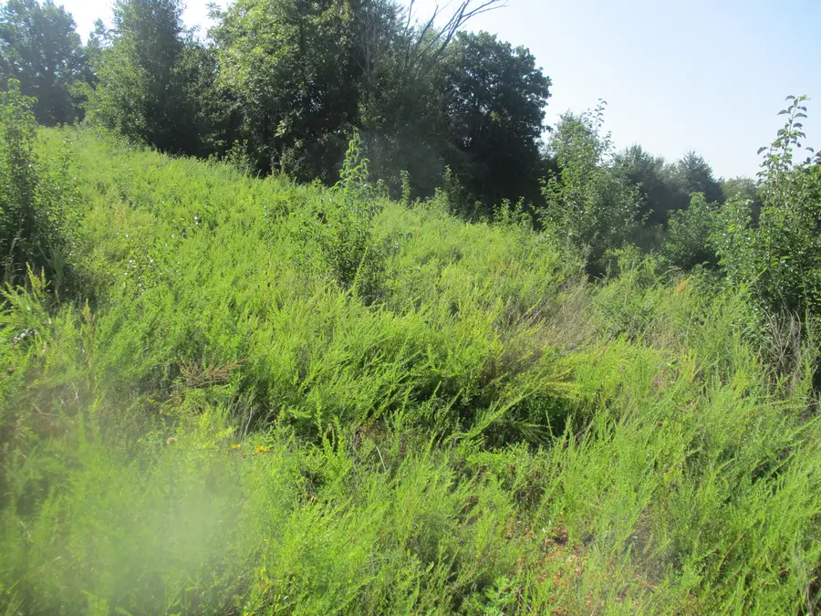 0 State Hwy Bb, West Plains, MO 65775 - Image #2