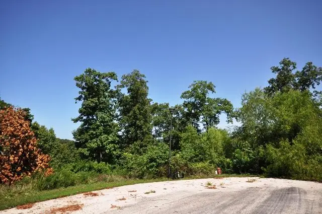 544 North View Drive, Branson, MO 65616 - Image #2