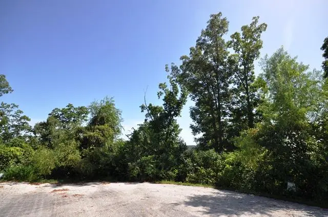 Lt 266 Highpoints Ridge, Branson, MO 65616 - Image #3