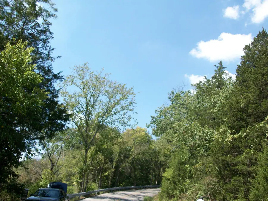 000 Cahill, Branson, MO 65616 - Image #2