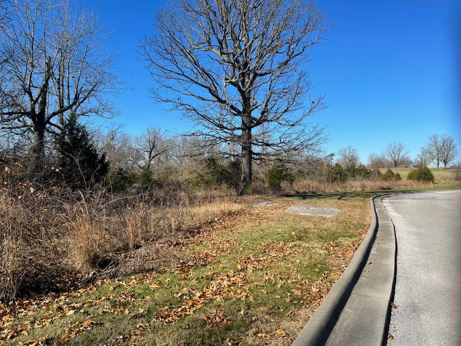 1 Paradise Road, Strafford, MO 65757 - Image #2