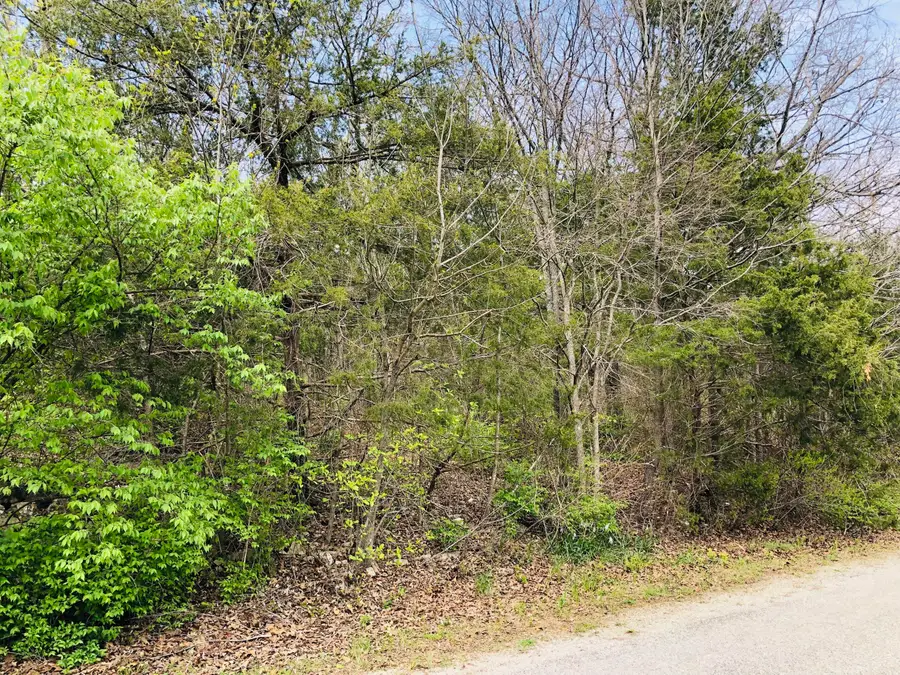 000 6th Avenue, Ridgedale, MO 65739 - Image #3