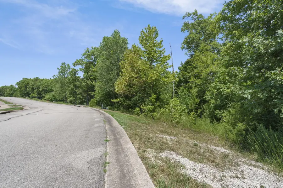 16 Shinnecock Hills Drive, Branson, MO 65616 - Image #3