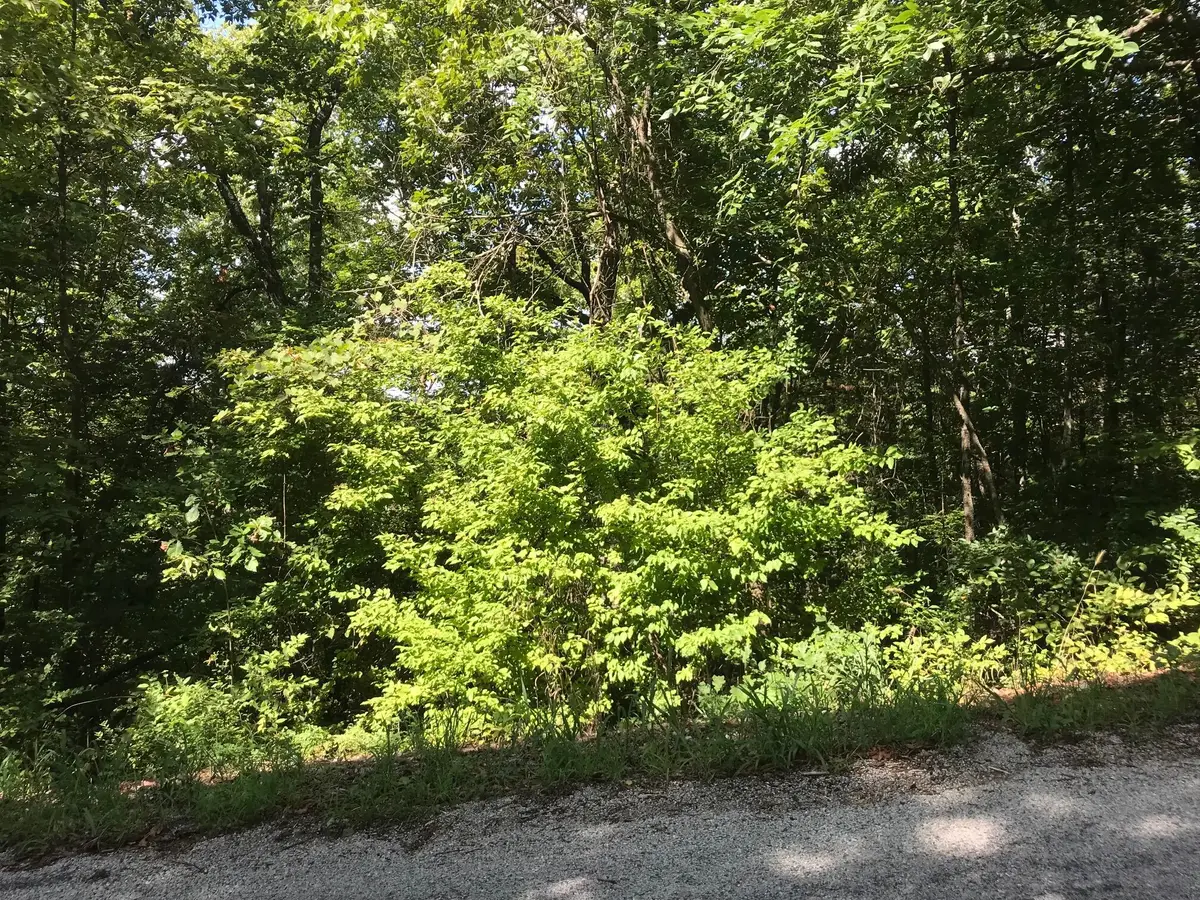 Lot 255 Sharay Circle, Hollister, MO 65672 - Image #1
