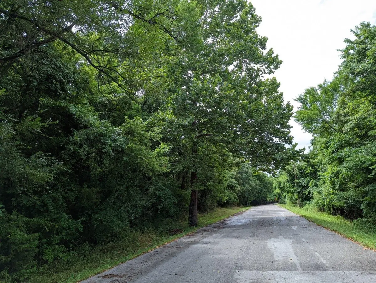 Lot 4 N Farm Road 139, Springfield, MO 65803 - #1