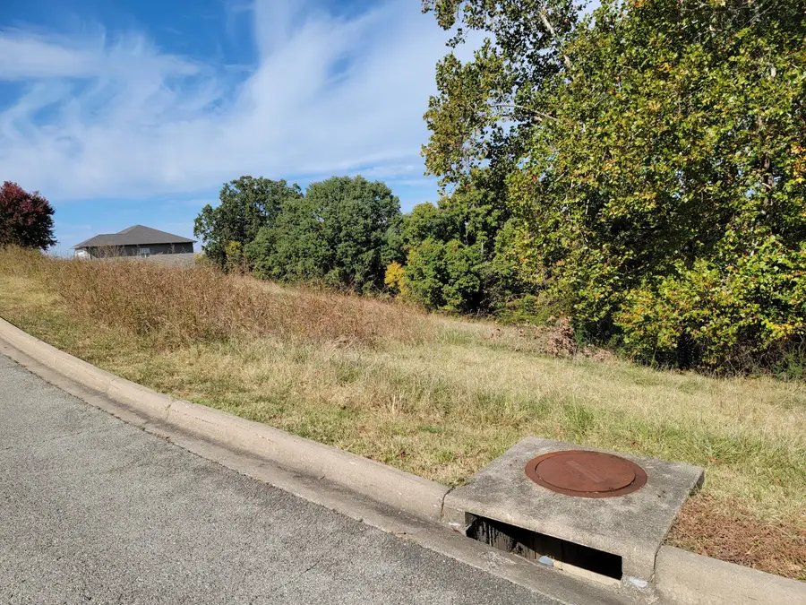 000 Eagle Crest Drive, Hollister, MO 65672 - Image #3