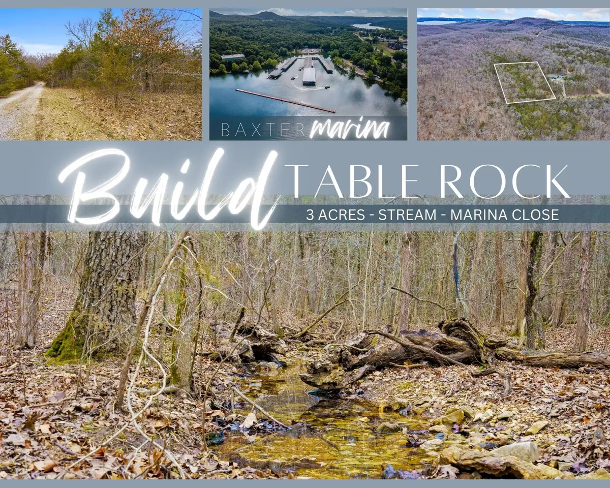 Tbd Alyeska Point Road, Lampe, MO 65681 - Image #1