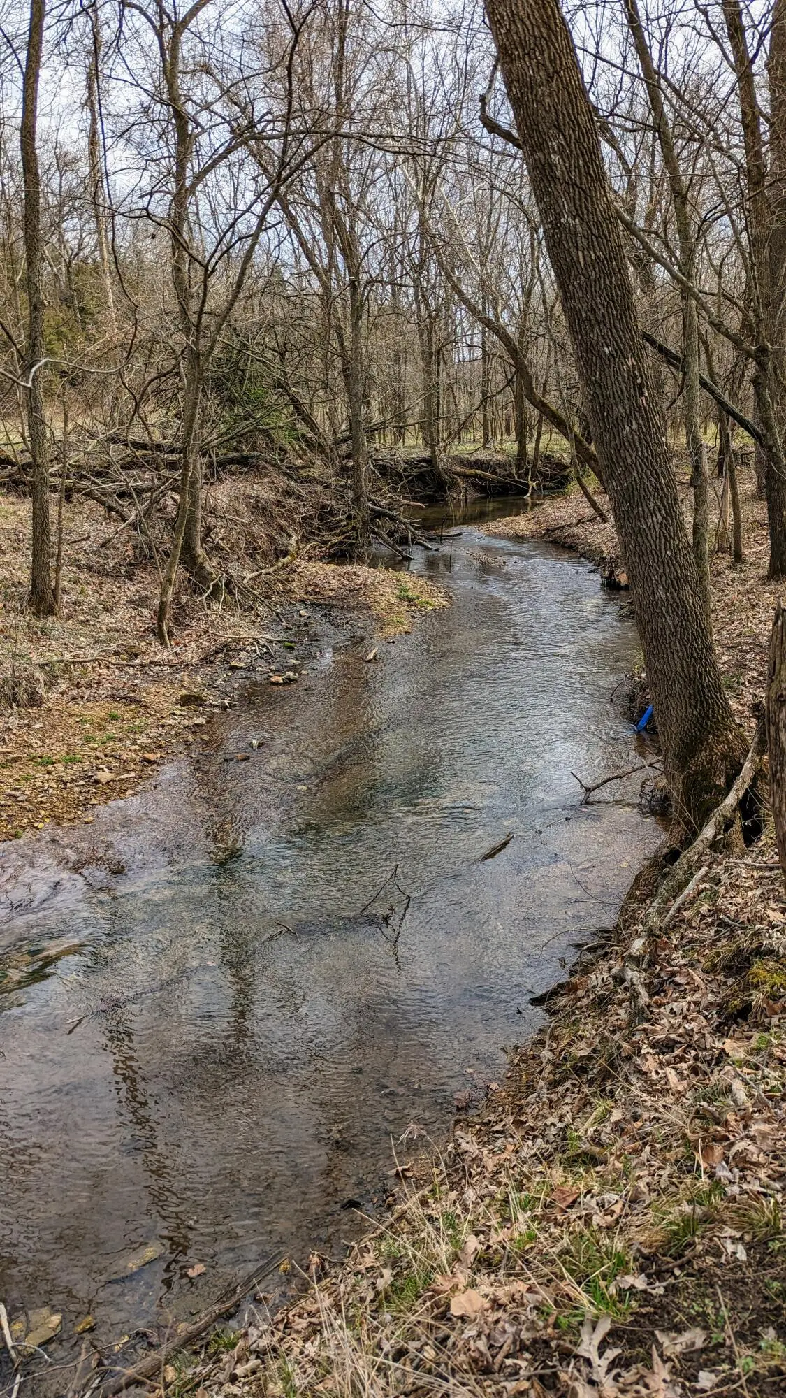 Tract F W Farm Road 61, Willard, MO 65781 - Image #1