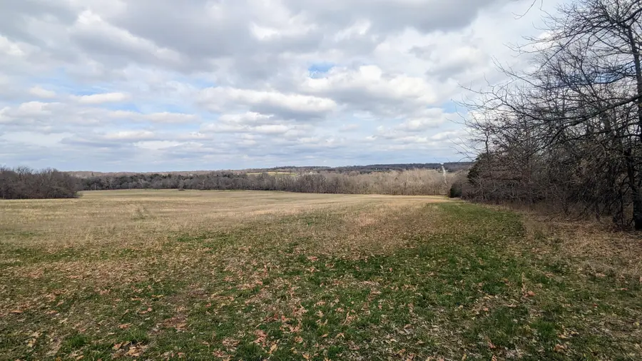 Tract F W Farm Road 61, Willard, MO 65781 - Image #2