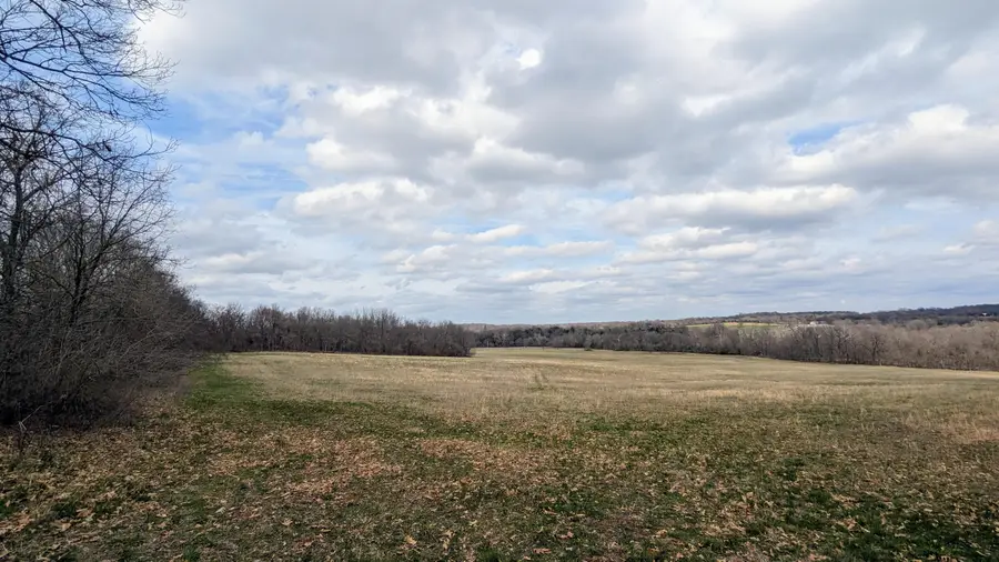 Tract F W Farm Road 61, Willard, MO 65781 - Image #3