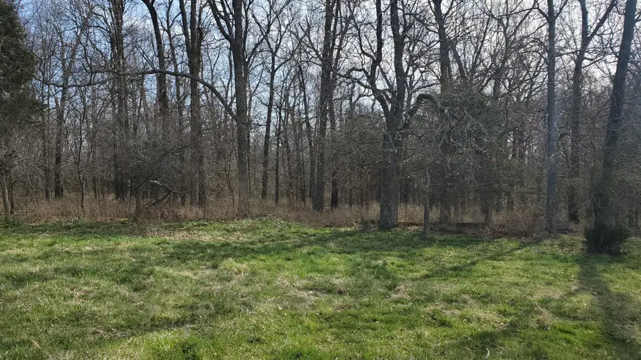 Lot 6 N Farm Road 61, Walnut Grove, MO 65770 - Image #2