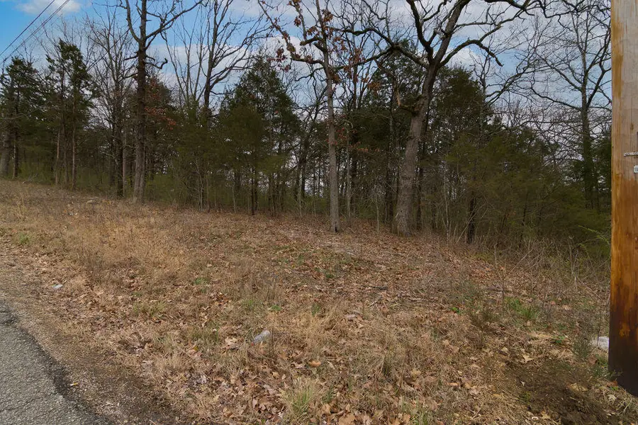 Lot 62 Oakwood Road, Merriam Woods, MO 65740 - Image #3