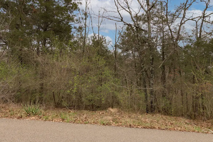 Lot 26 Oakwood Lane, Merriam Woods, MO 65740 - Image #2