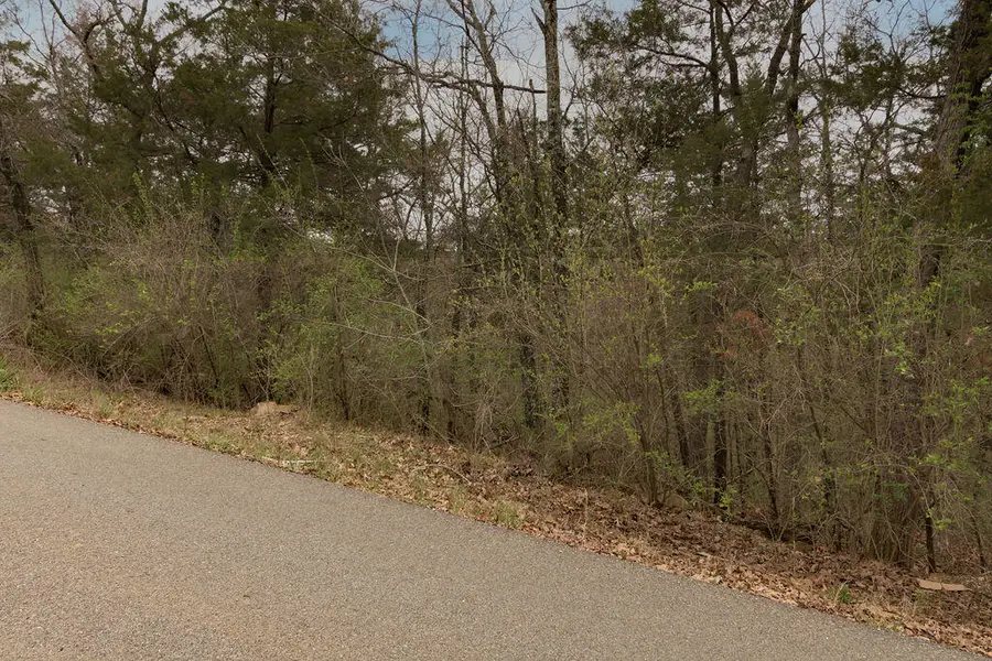 Lot 26 Oakwood Lane, Merriam Woods, MO 65740 - Image #3