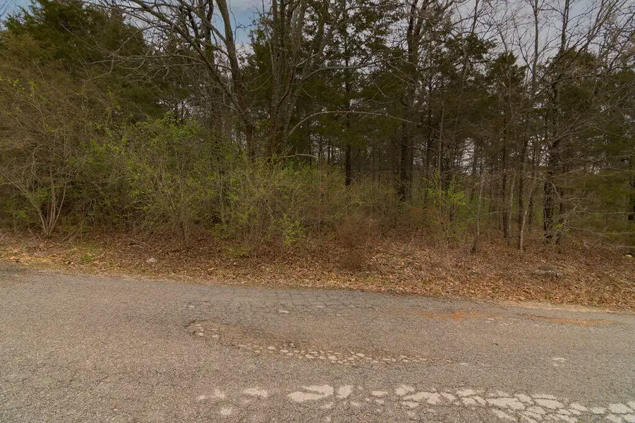 Lot 2 West Gate Road, Merriam Woods, MO 65740 - Image #2