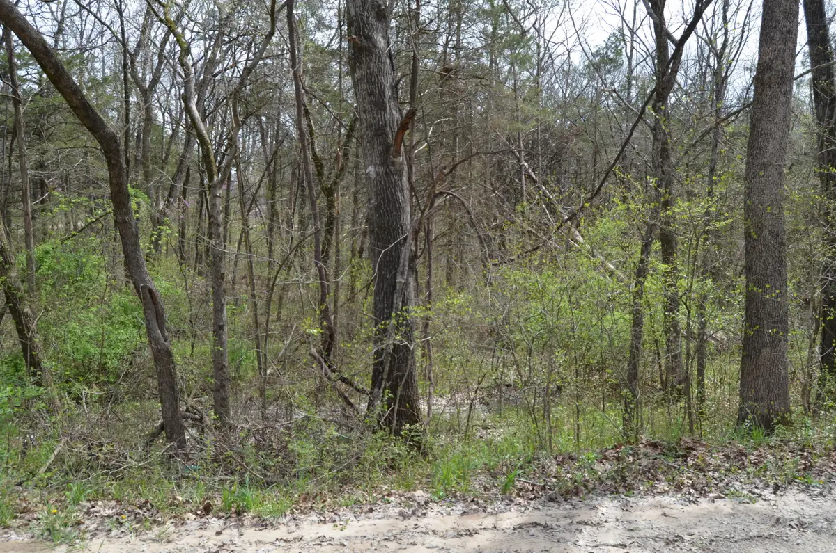 Lot 26 Poplar Road, Merriam Woods, MO 65740 - Image #1