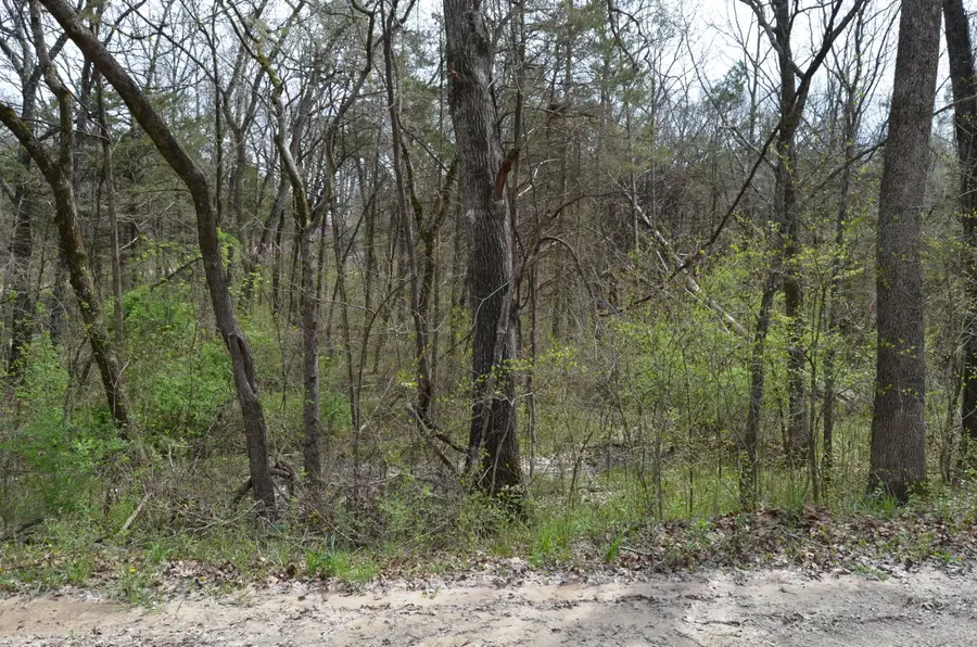 Lot 26 Poplar Road, Merriam Woods, MO 65740 - Image #2