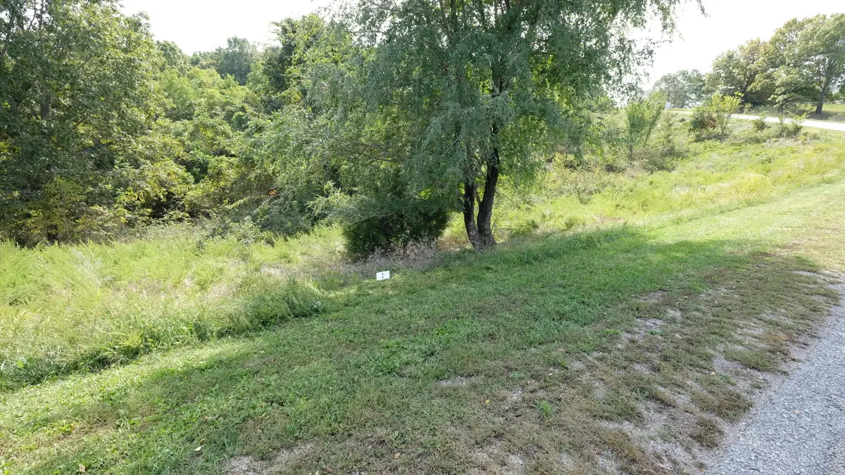 434 Emory Creek Road, Branson, MO 65616 - Image #1