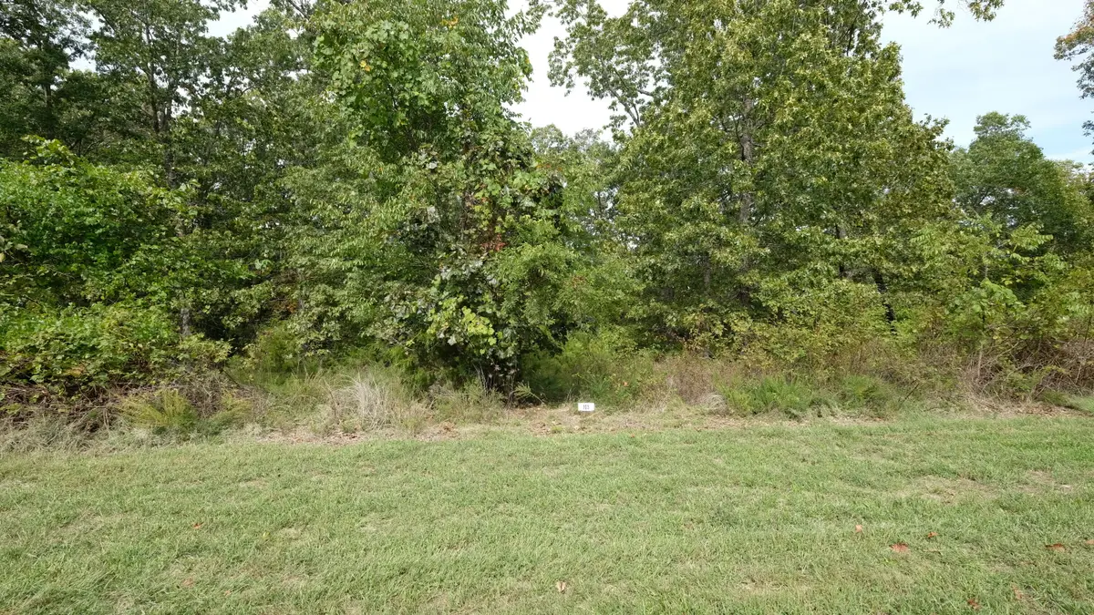 1191 Emory Creek Boulevard, Branson, MO 65616 - Image #1