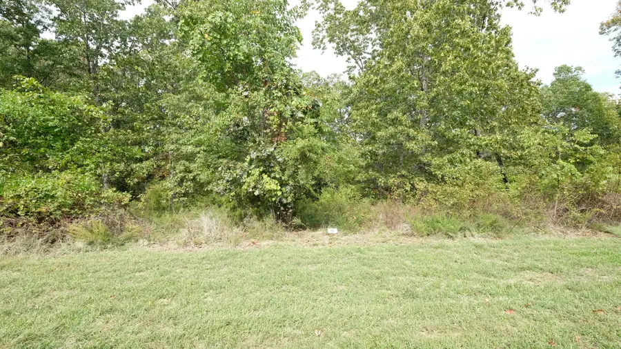 1191 Emory Creek Boulevard, Branson, MO 65616 - Image #2