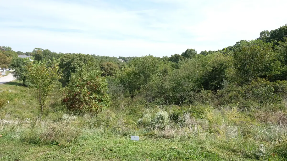 374 Emory Creek Road, Branson, MO 65616 - #1