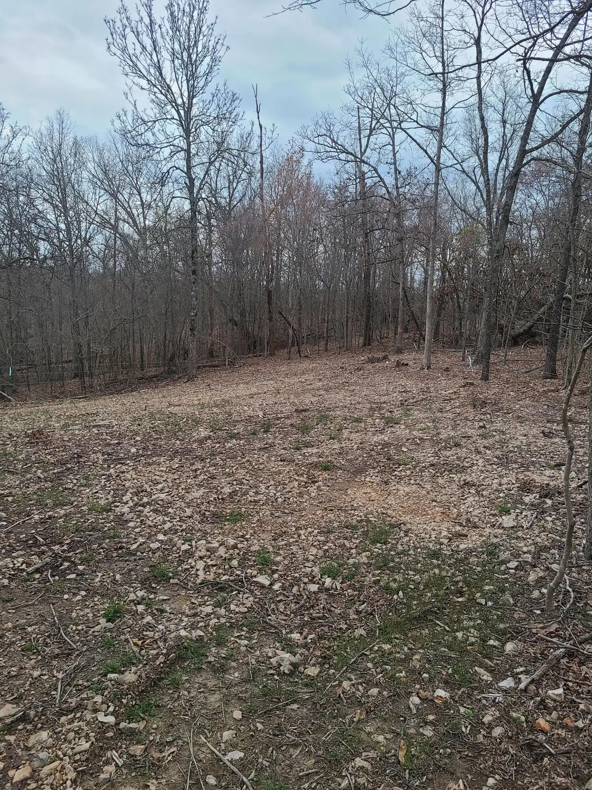 690 Grand Lane, Anderson, MO 64831 - Image #1