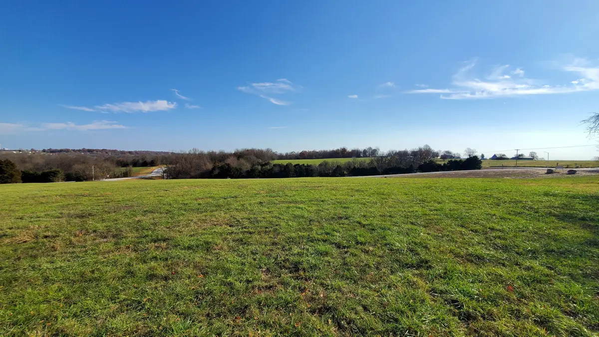 6555 S Lock Lane #(Lot 2), Republic, MO 65738 - Image #1