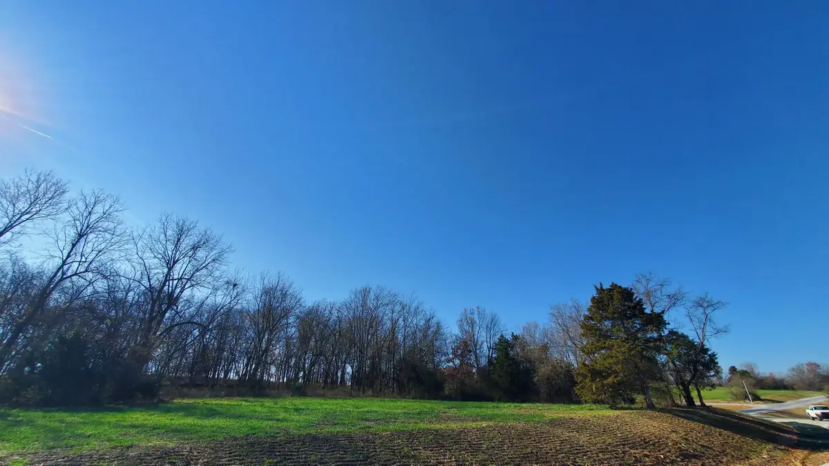 6523 S Stock Street #Lot 8, Republic, MO 65738 - #1