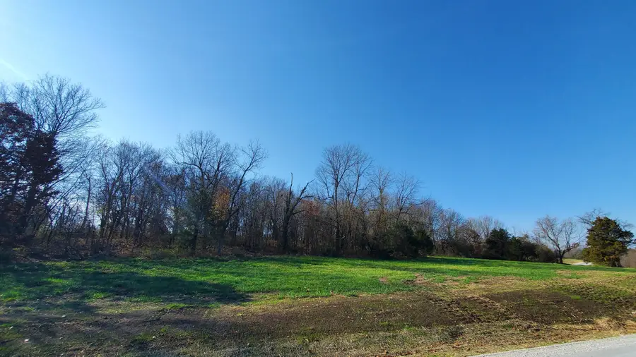 6523 S Stock Street #Lot 8, Republic, MO 65738 - #2