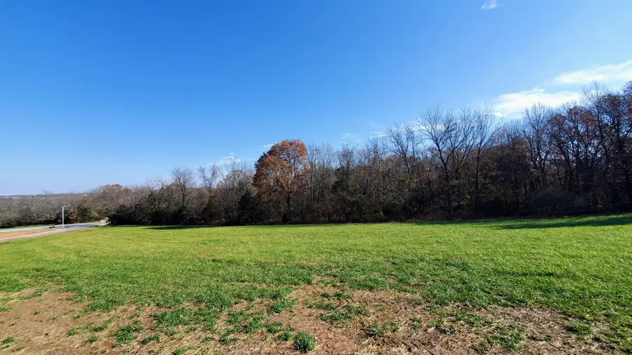 6542 S Stock Street #Lot 9, Republic, MO 65738 - Image #2