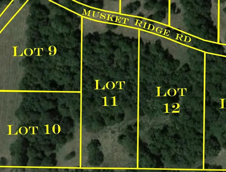 7054 W Musket Ridge Road #Lot 11, Republic, MO 65738 - #3