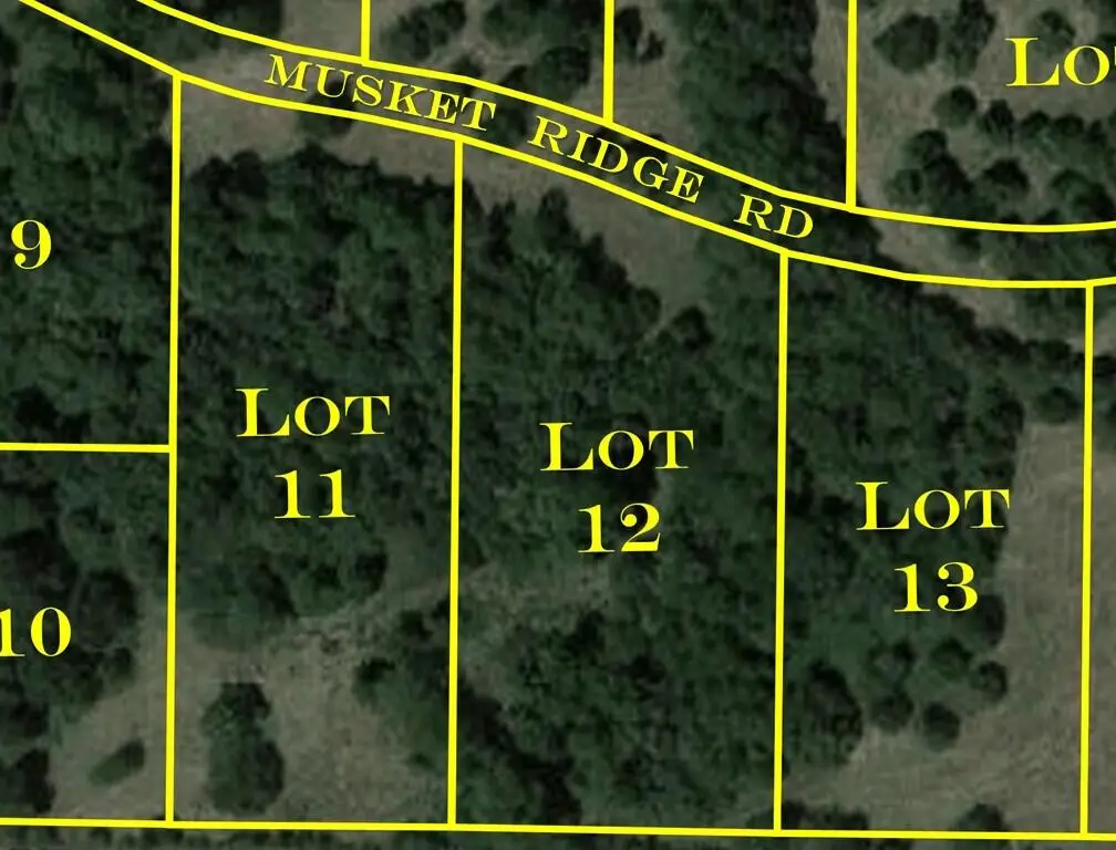 6992 W Musket Ridge Road #Lot 12, Republic, MO 65738 - Image #1