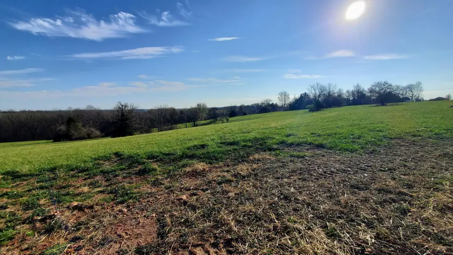 6536 S Barrel Boulevard #Lot 16, Republic, MO 65738 - #3