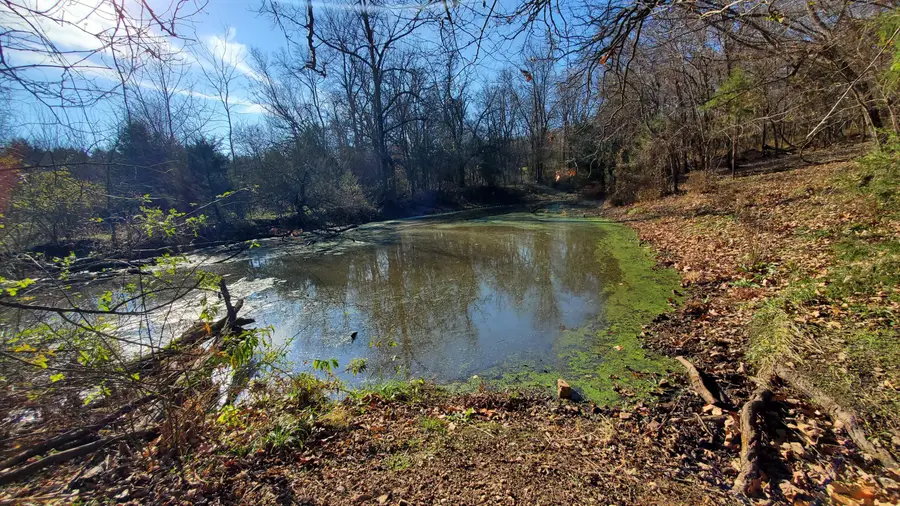 7035 W Musket Ridge Road #Lot 23, Republic, MO 65738 - Image #3