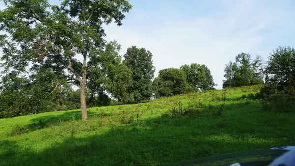 252 Douglas County Road #7, Ava, MO 65608