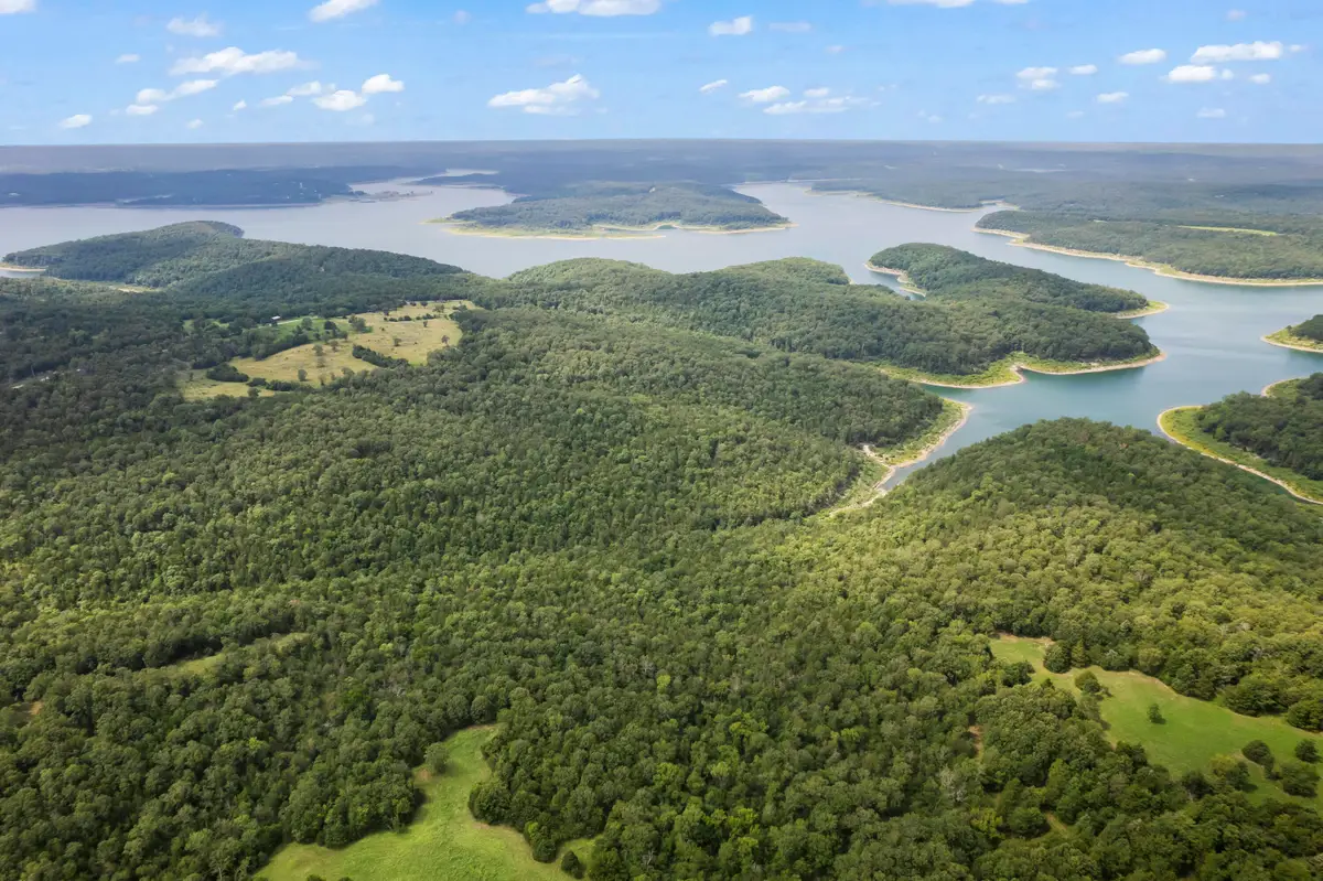 518 Nave Ferry Road, Protem, MO 65733 - Image #1