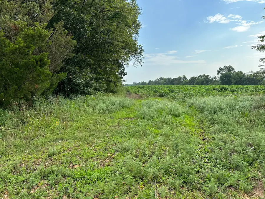 000 Elder, Pierce City, MO 65723 - Image #2