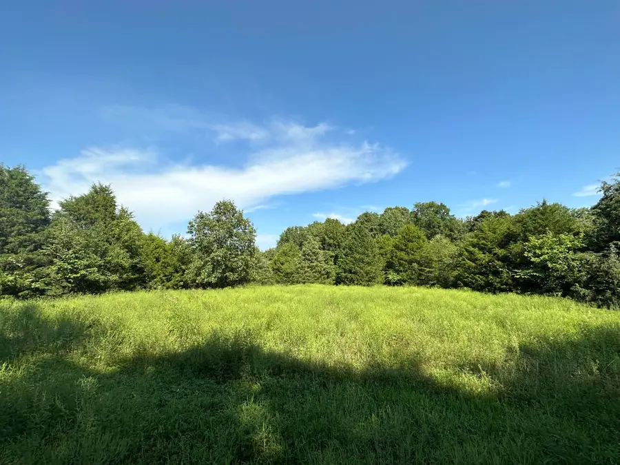 000 Elder, Pierce City, MO 65723 - Image #3