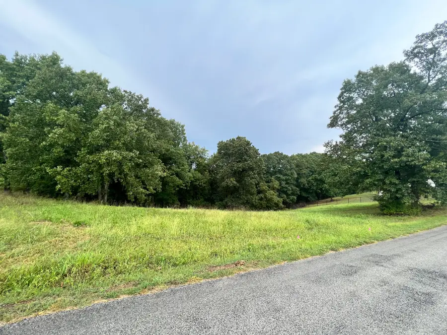 123 Panorama Drive, Cape Fair, MO 65624 - Image #2