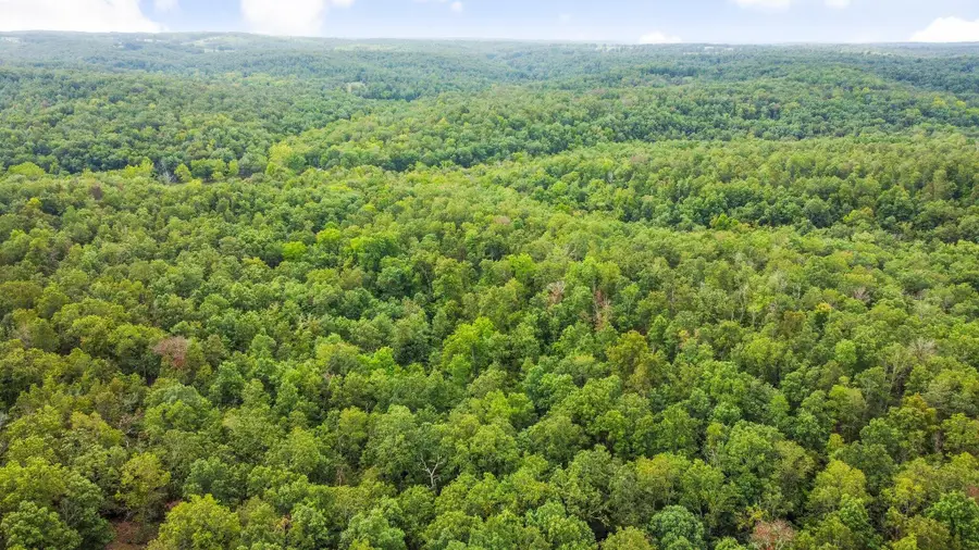 000 County Road 1990, Willow Springs, MO 65793 - Image #2