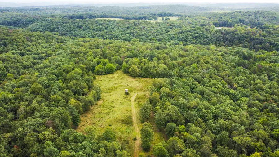 000 County Road 1990, Willow Springs, MO 65793 - Image #3