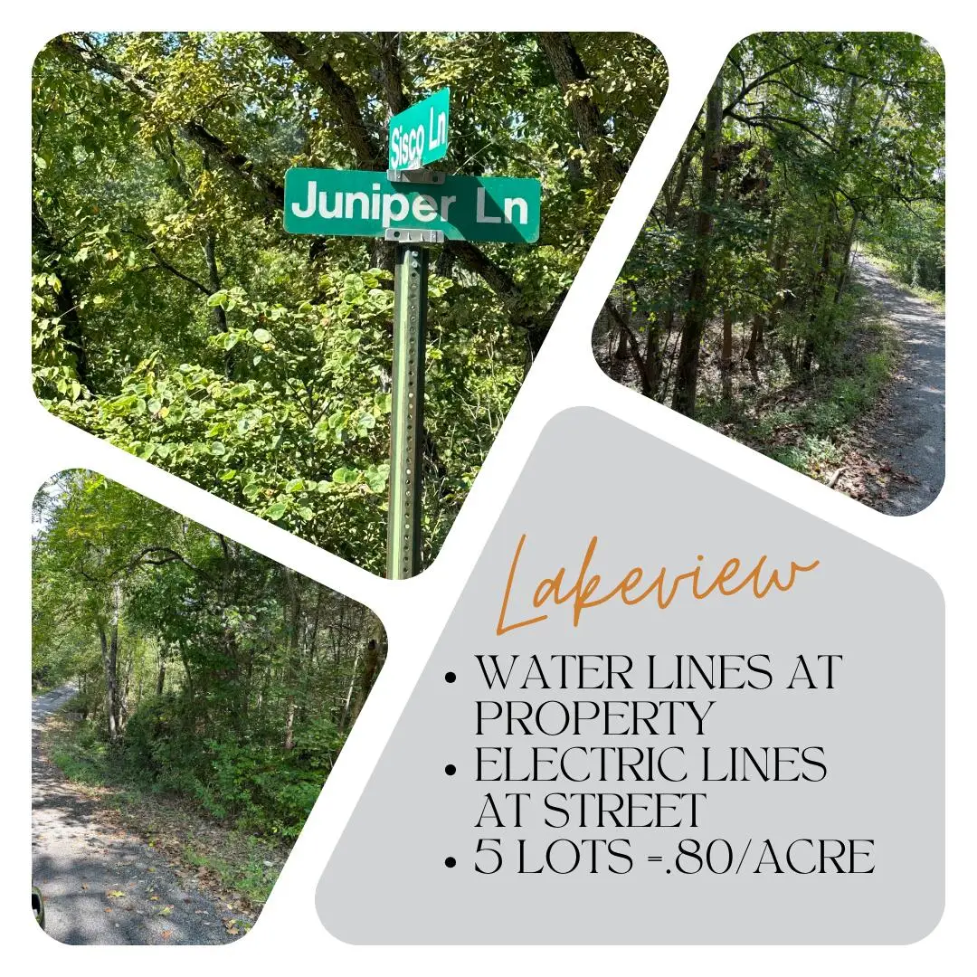 000 Juniper Lane, Shell Knob, MO 65747 - Image #1