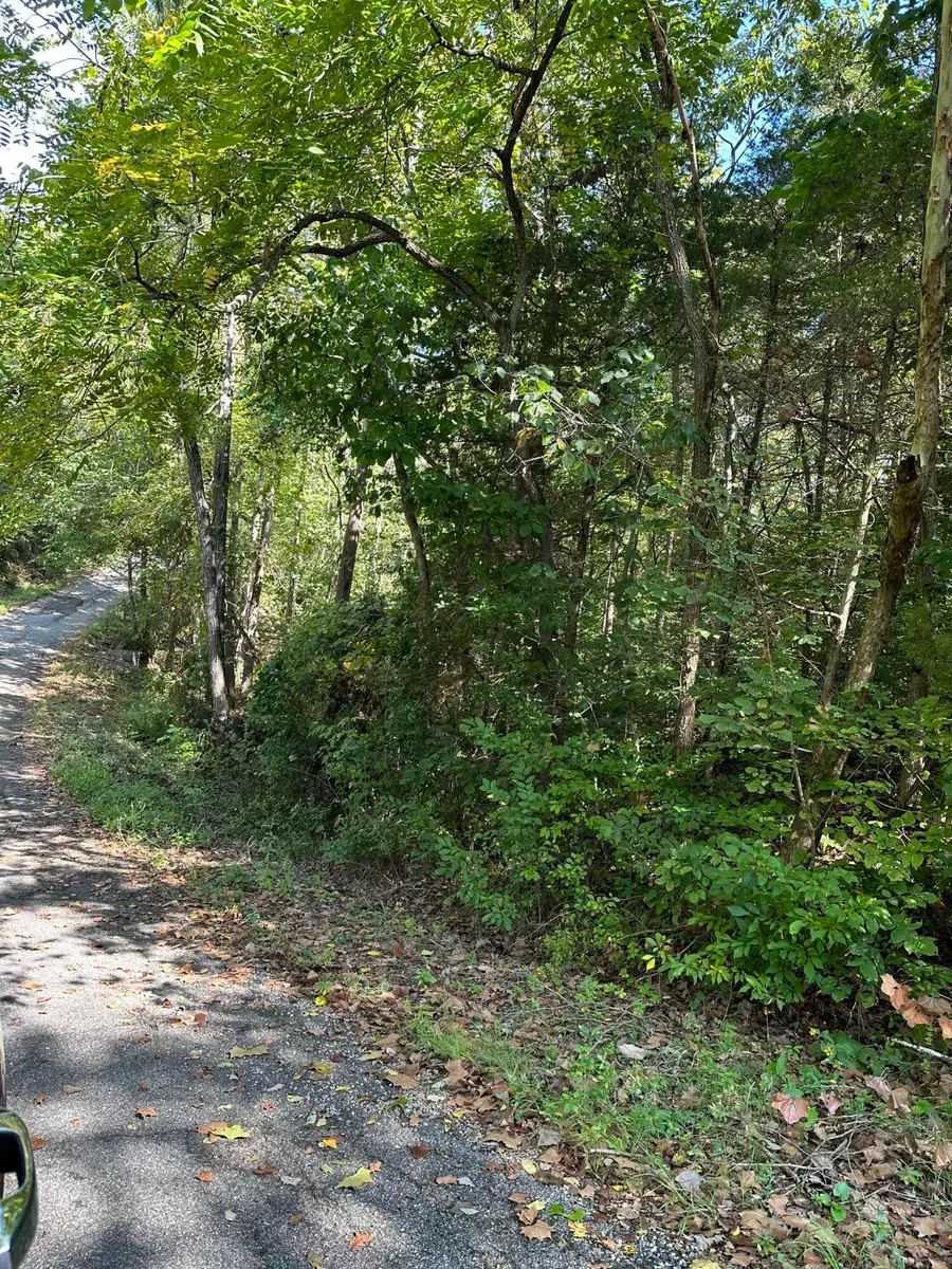 000 Juniper Lane, Shell Knob, MO 65747 - Image #3