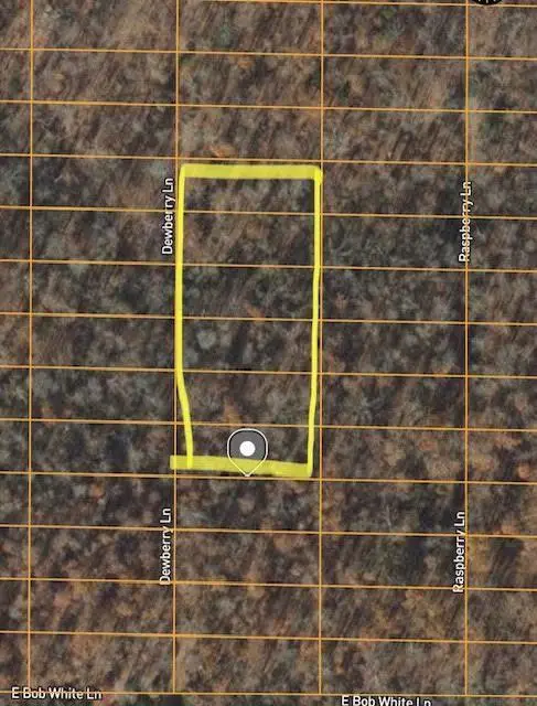 1308 Dewberry Lane, Horseshoe Bend, AR 72512 - #1