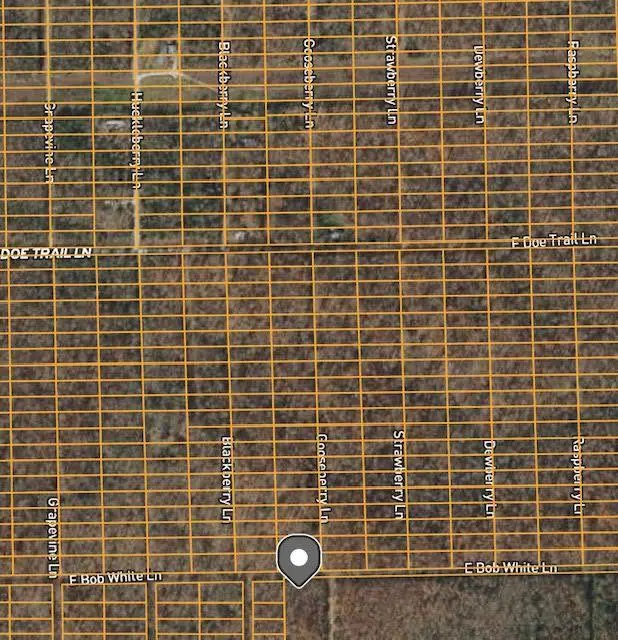 1301 Gooseberry Lane, Horseshoe Bend, AR 72512 - Image #1