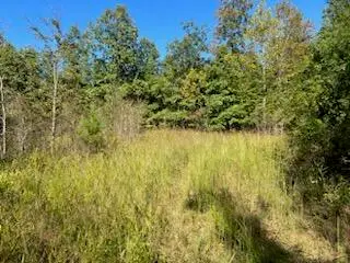 000 County Road 118, Annapolis, MO 63620 - Image #3