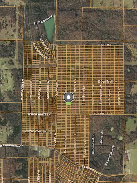 1316 Grapevine Lane, Horseshoe Bend, AR 72512 - #1