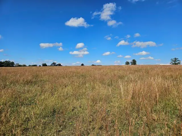 000 Kaylor Road, Mountain Grove, MO 65711 - Image #2